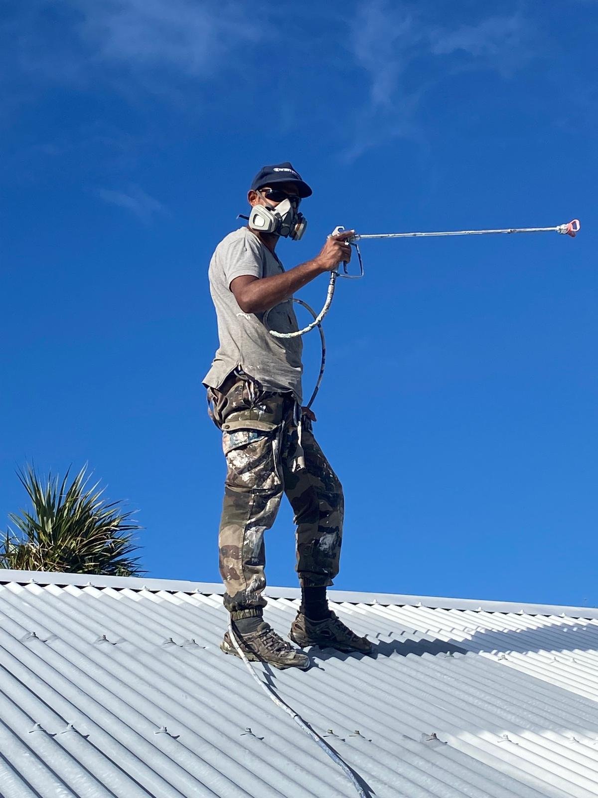 Entretien et nettoyage de toiture